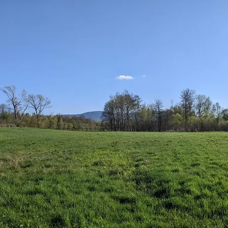 Guest house Palaszowka *